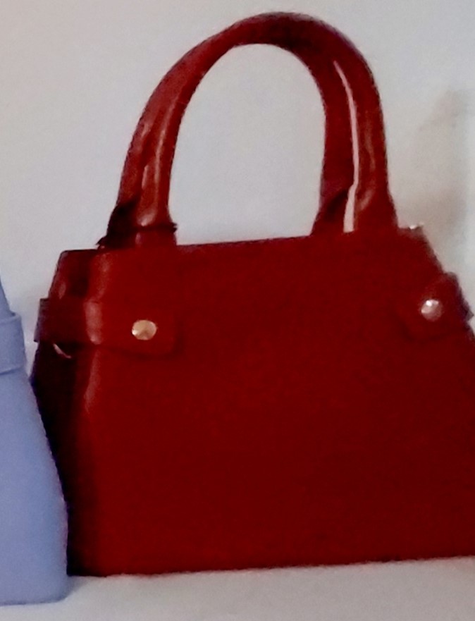 LEFATE – Mini sac à main en cuir finement égrainé (Rouge) – Image 5